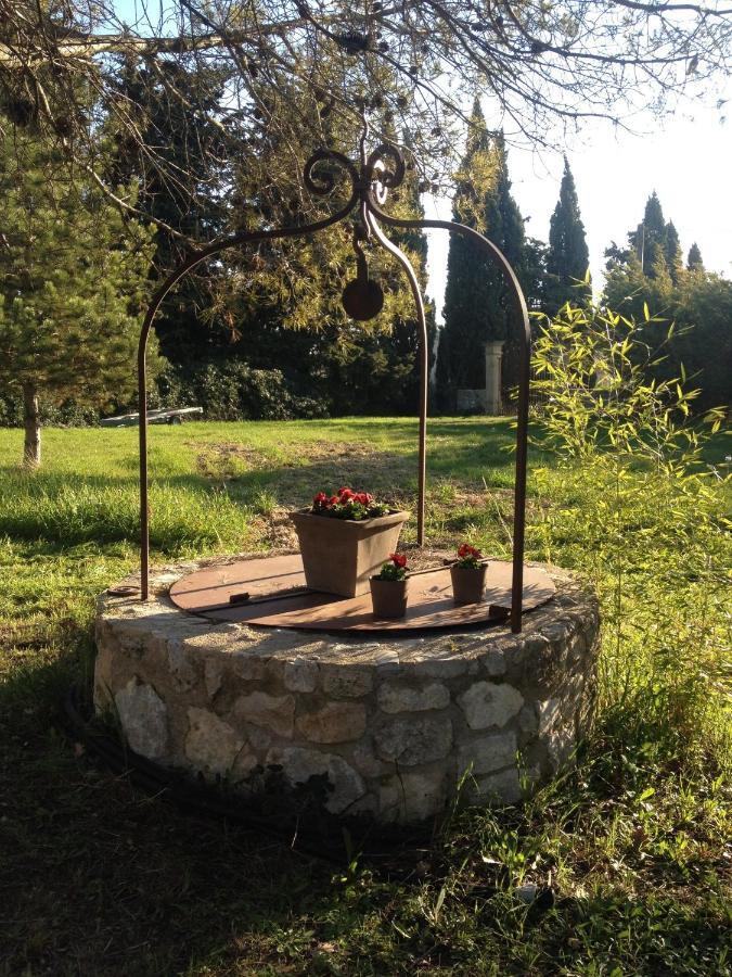 Suite De L'Olivier Au Mas Au Coeur De La Provence &Spa Сен-Канна Номер фото